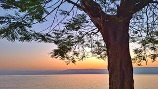 התחזית: התחממות קלה - לקראת ירידה בטמפרטורות וגשמים מקומיים בשבת