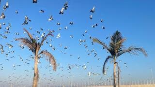 תחזית מזג האוויר: עלייה קלה בטמפרטורות - ומתי יחזור הגשם