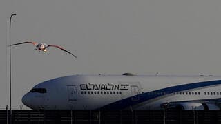 טיסות חילוץ ראשונות נחתו בנתב"ג: אל על תטיס גם בשבת?