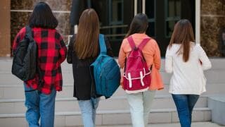 הקפסולות יחזרו? האפשרויות לחידוש הלימודים - ושינוי הכיוון