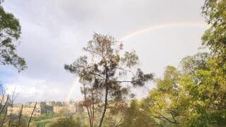 גשם מהצפון ועד צפון הנגב | התחזית - והמכ"ם